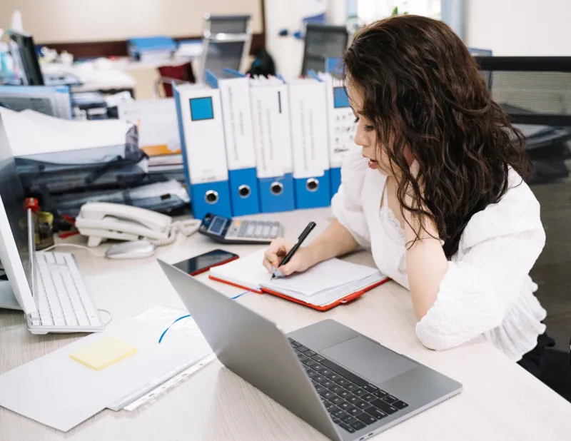 Organized to Win: How Metadata Mastery Transforms Stock Image Chaos Into Creative Efficiency