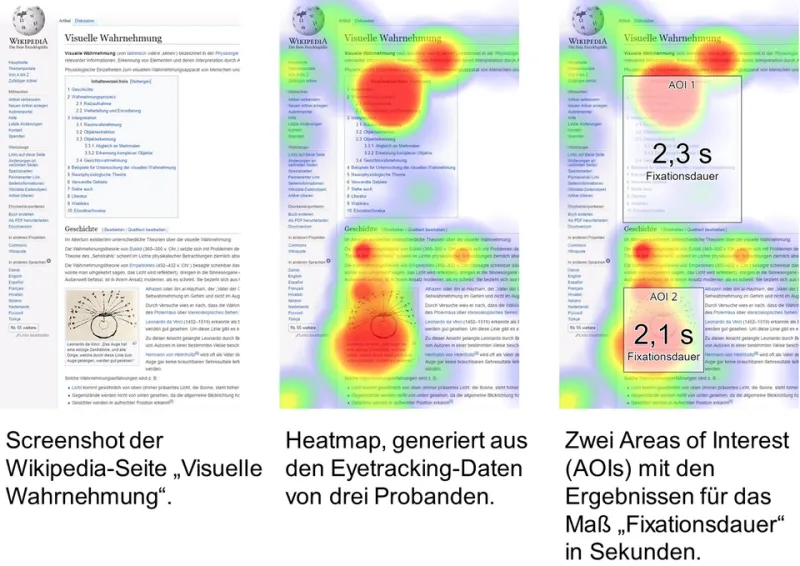 Where the Eye Lands First: Mapping the Invisible Rules of American Visual Attention